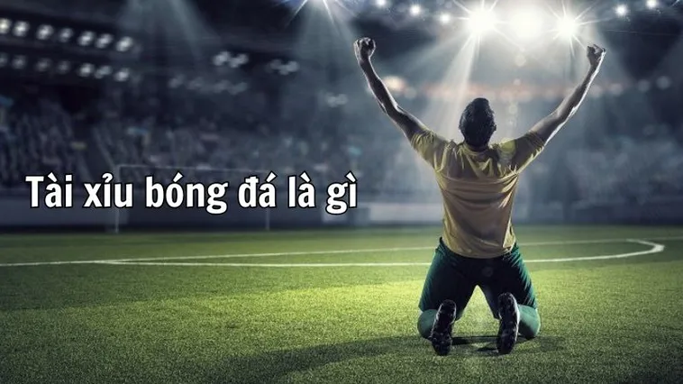 Bí Quyết Soi Kèo Tài Xỉu Bóng Đá Hiệu Quả Nhất Từ Chuyên Gia Lão Luyện