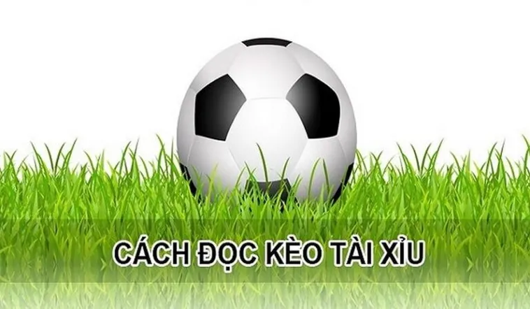 Bí Quyết Soi Kèo Tài Xỉu Hiệp 1 Hiệu Quả Nhất Cho Người Mới