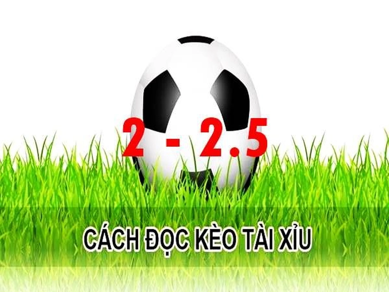 Bí Quyết Chinh Phục Kèo 2.25 Và Chiến Thuật Đầu Tư Hiệu Quả Cho Người Chơi