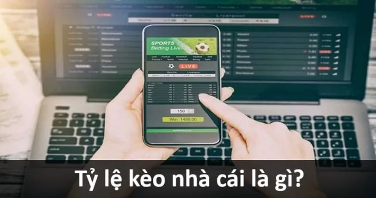 Cách Soi Kèo Bóng Đá Hiệu Quả Từ Kinh Nghiệm Thực Chiến Của Chuyên Gia