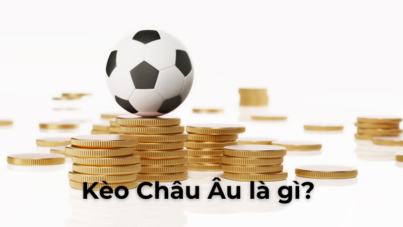 Chiến Thuật Chinh Phục Kèo Châu Âu Hiệu Quả Dành Cho Người Chơi Thông Thái
