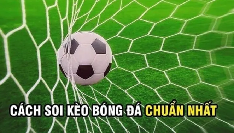 Bí Quyết Soi Kèo Rung Trong Bóng Đá Để Luôn Giành Chiến Thắng